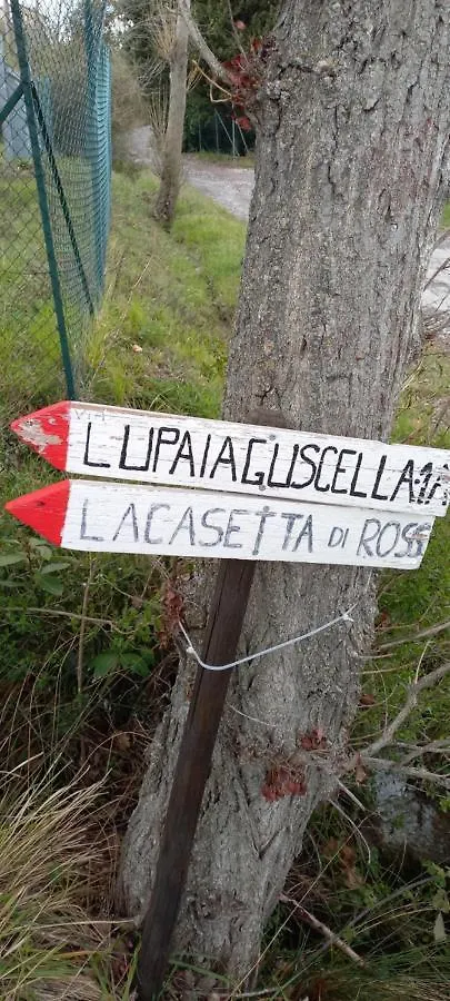 Appartamento La Casetta di Ross Castellina Marittima