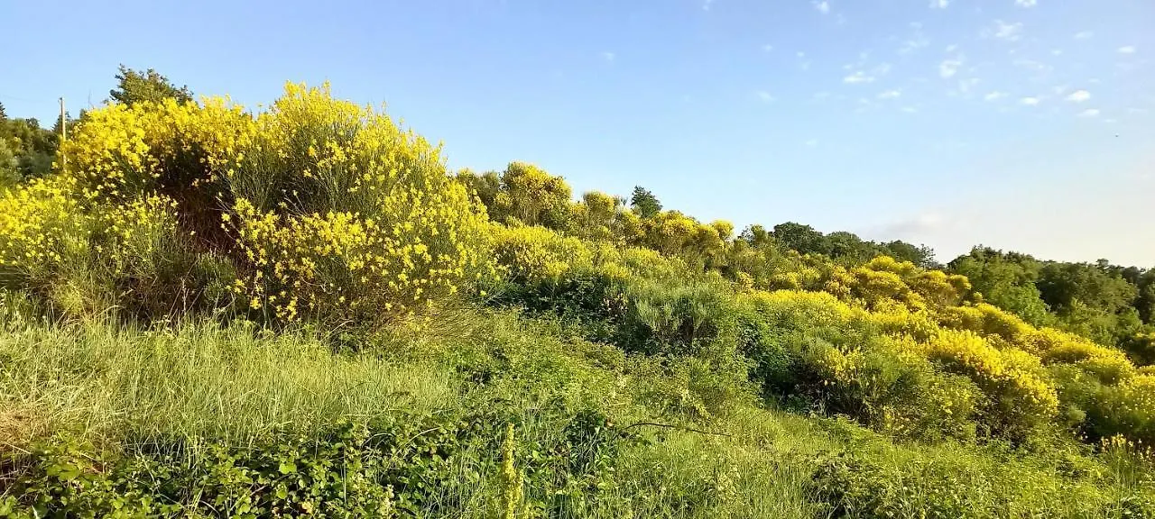 Appartamento La Casetta di Ross Castellina Marittima Italia