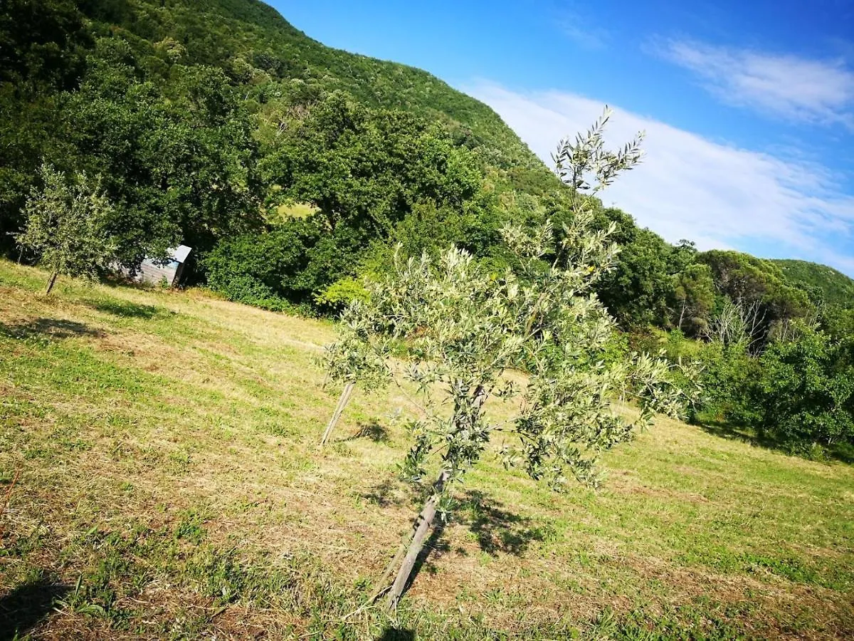 La Casetta Di Ross Castellina Marittima 0*,